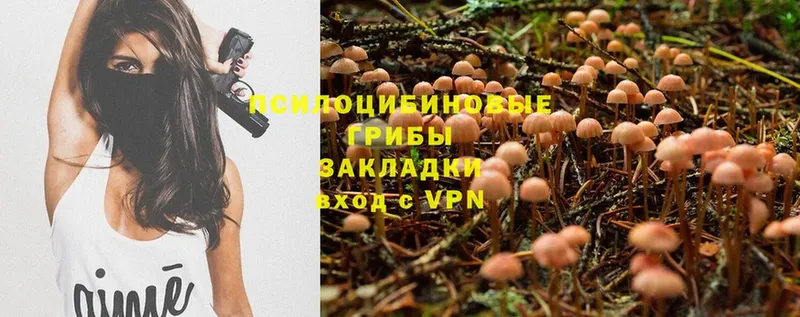 купить  сайты  блэк спрут зеркало  Псилоцибиновые грибы Psilocybine cubensis  Электросталь 